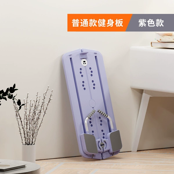 Deluxe Function Fitness Board-Purple