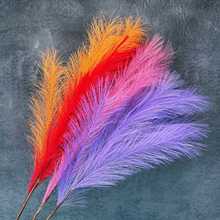 ���滨��ɫ��ë�Ҿ��b��ֹ��JȔ�ݻ�Y�������ÿ羳�ٻ��[�����l