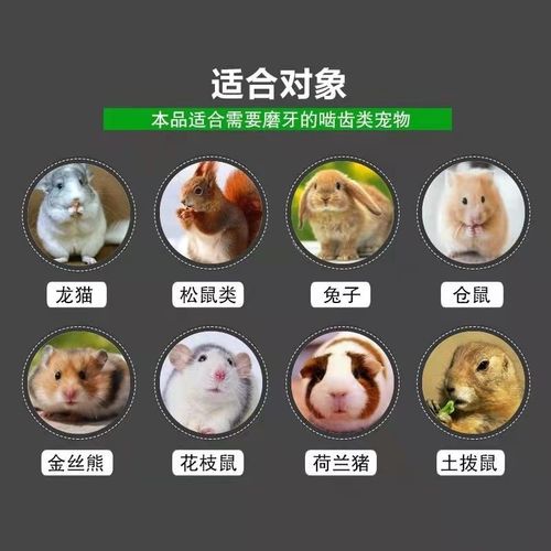 Hamster gnawing stone rabbit gnawing stone, hamster rabbit chinchilla mineral calcium wear-resistant gnawing volcanic rock