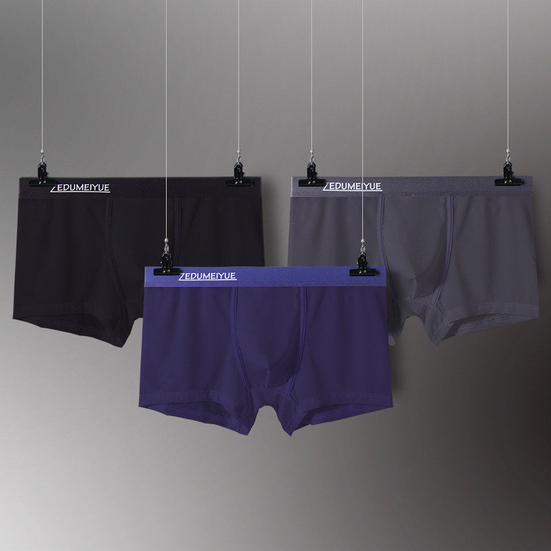 Light Ice Silk Boxers Youth Breathable Summer U-Convex Transparent Low Waist Sexy Underwear Men's Underpants