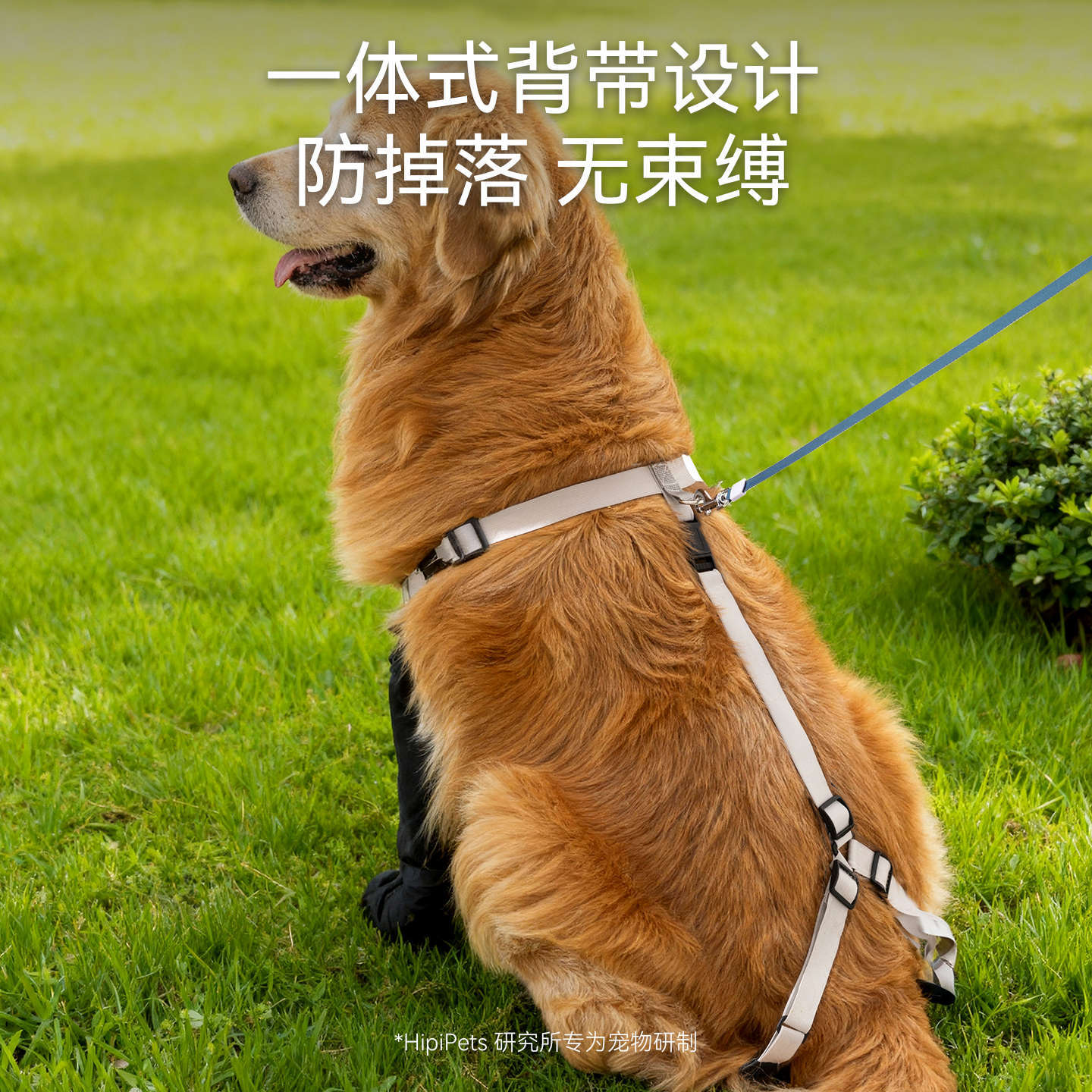 Cuatro estaciones de cuatro patas correa impermeable anti-pegazo zapatos de perro grandes zapatos de perro pequeño y mediano zapatos de codo de perro grande
