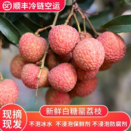 桂圆干;干果生货;荔枝