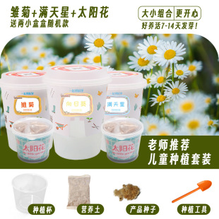 Children's planting small potted plants manual diy scientific experimental toys baby seeds germination plant observation wholesale