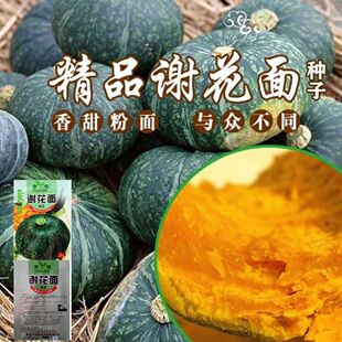 �x�����ϹϷN�ӵ��S�㻨�GƤ�C������������Ϲ����泬���ļ��߲�