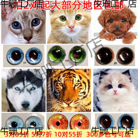 动物眼睛珠子材料包装饰配件diy猫眼兽瞳扭扭龙眼珠人偶羊毛毡