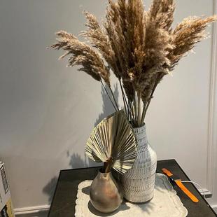 Nordic ins Style Eternal Flower Small Reed Reed Wood Dried Flower Bag Bouquet Simple Home Art Decoration Homestay Soft Clothes
