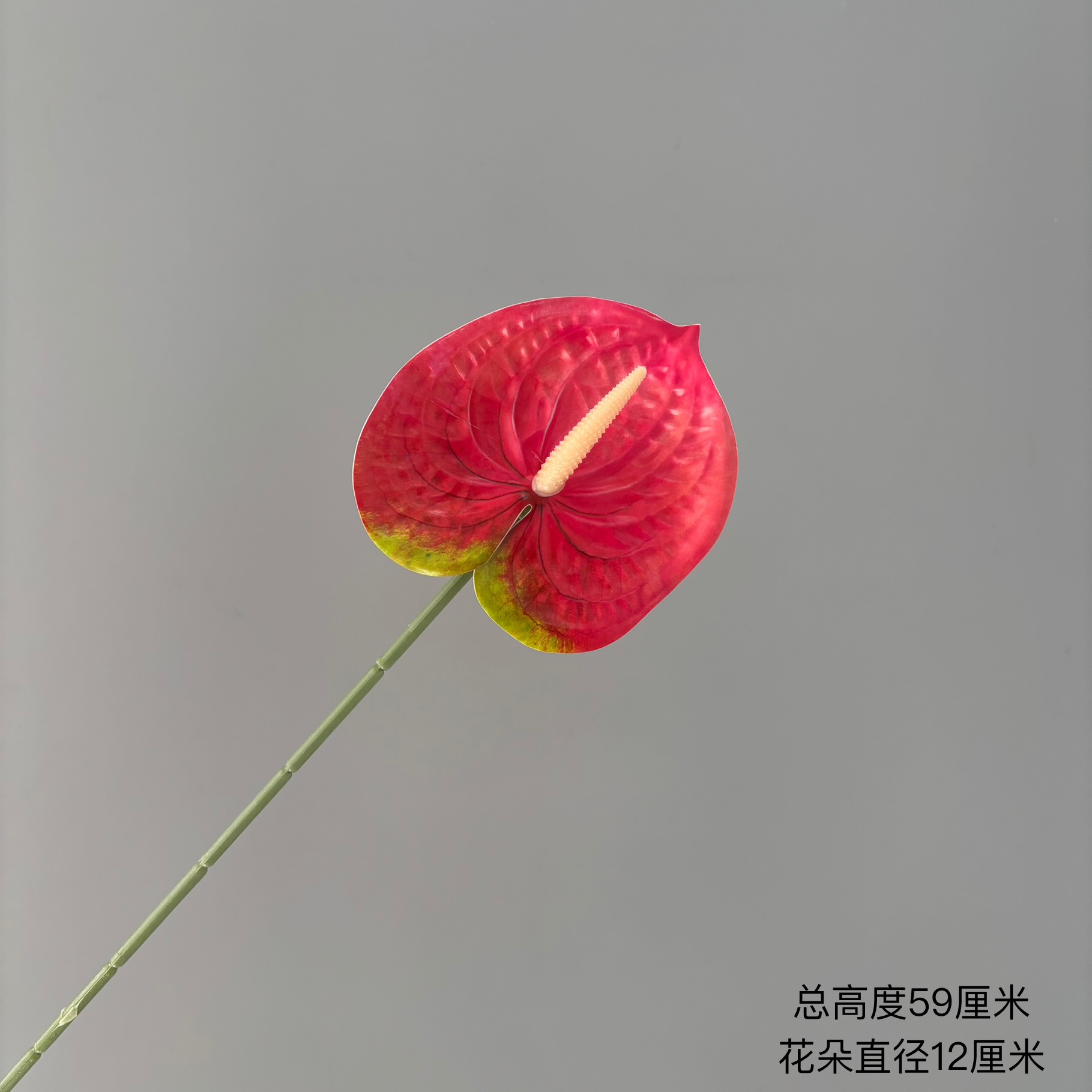 로즈 레드