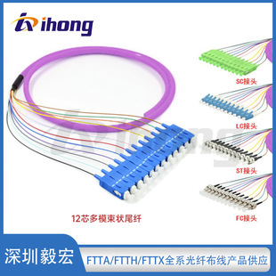 Sc/Lc/Fc/St Multi-Mode Harness Om 40k Zhao 12-Core Optical Fiber Pigtail