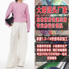 大朗毛织厂女式毛衣来样看图打版加工定制秋季绣花圆领舒适宽松