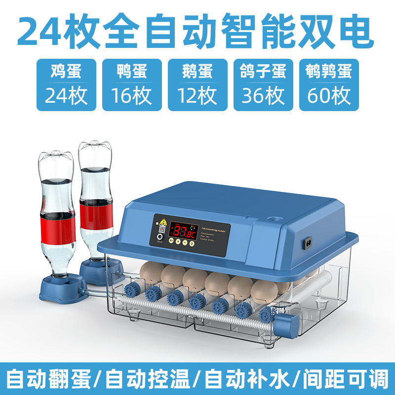 Incubadora de Huevos Inteligente para Codornices, Máquina de Incubación Inteligente para Cría de Aves, Fabricante Original