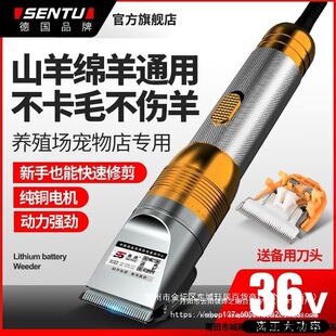 ��ɭ;��ë����ӌ����ë�C36V���ʈ@ˇ��Ƽ�늄��Ƽ���ë