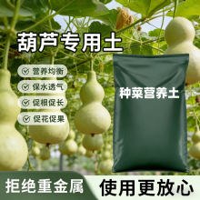 ���J�������߲˷Nֲ�̨����͸����̿��ֲ��ͨ�����B���N�ˠI�B��