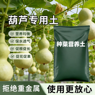 ���J�������߲˷Nֲ�̨����͸����̿��ֲ��ͨ�����B���N�ˠI�B��