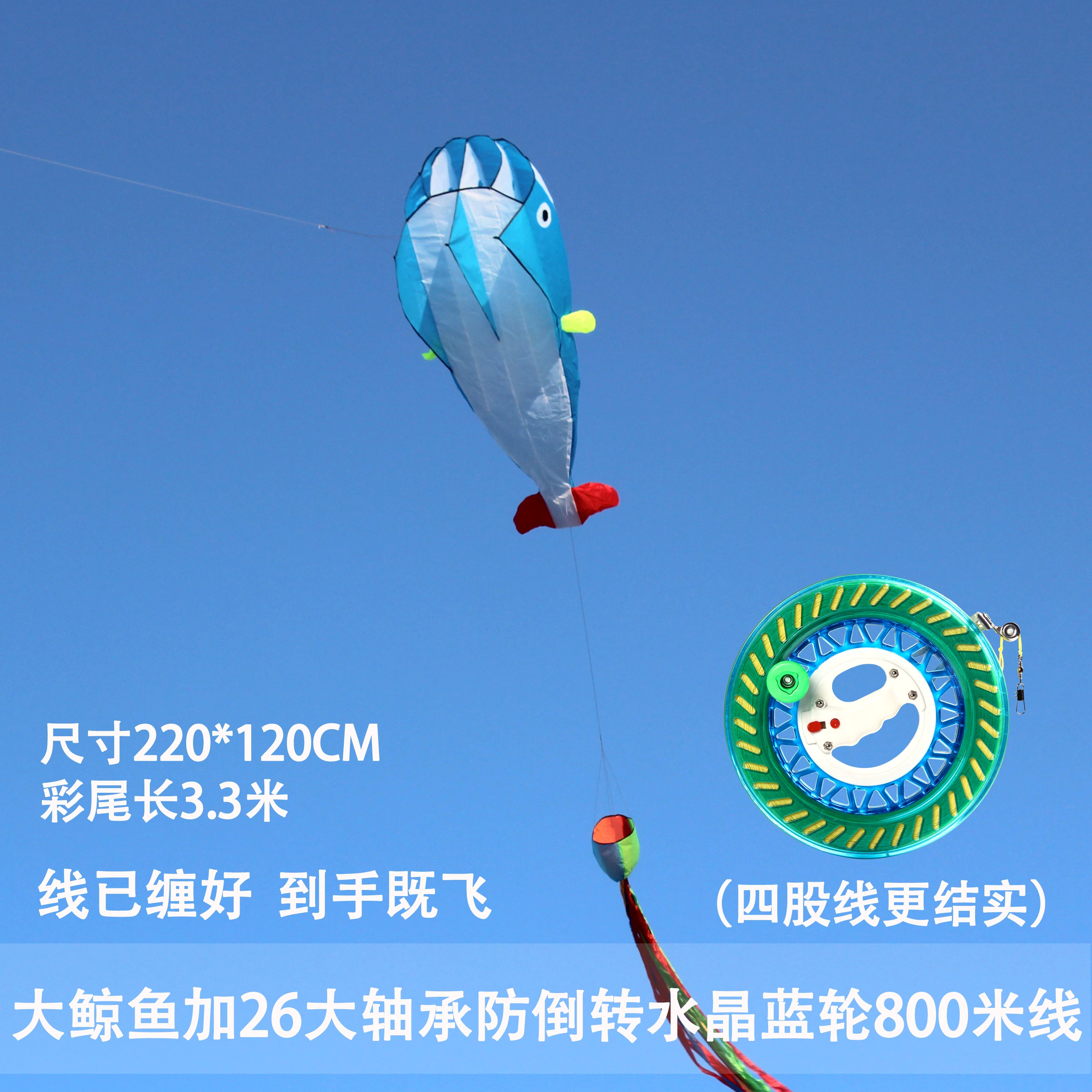 Kite for adults