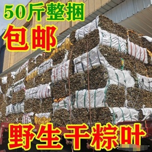 Manufacturer of Wild Dried Zongzi Leaves, Zongzi Leaves, Dragon Boat Festival Zongzi Leaves, Wholesale Kilograms, Commercial Dragon Boat Festival Wild Large Size