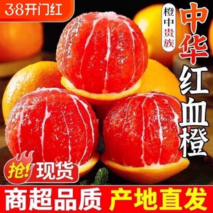 ���A�tѪ��9�����r����ˮ�������Fժ�t��������ք���ȴ�����l