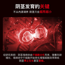 成人情趣男士用品阴茎膏正品增大粗硬增长海绵体受损修二次生长复