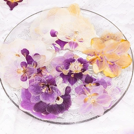 干花;贺卡;相框、画框