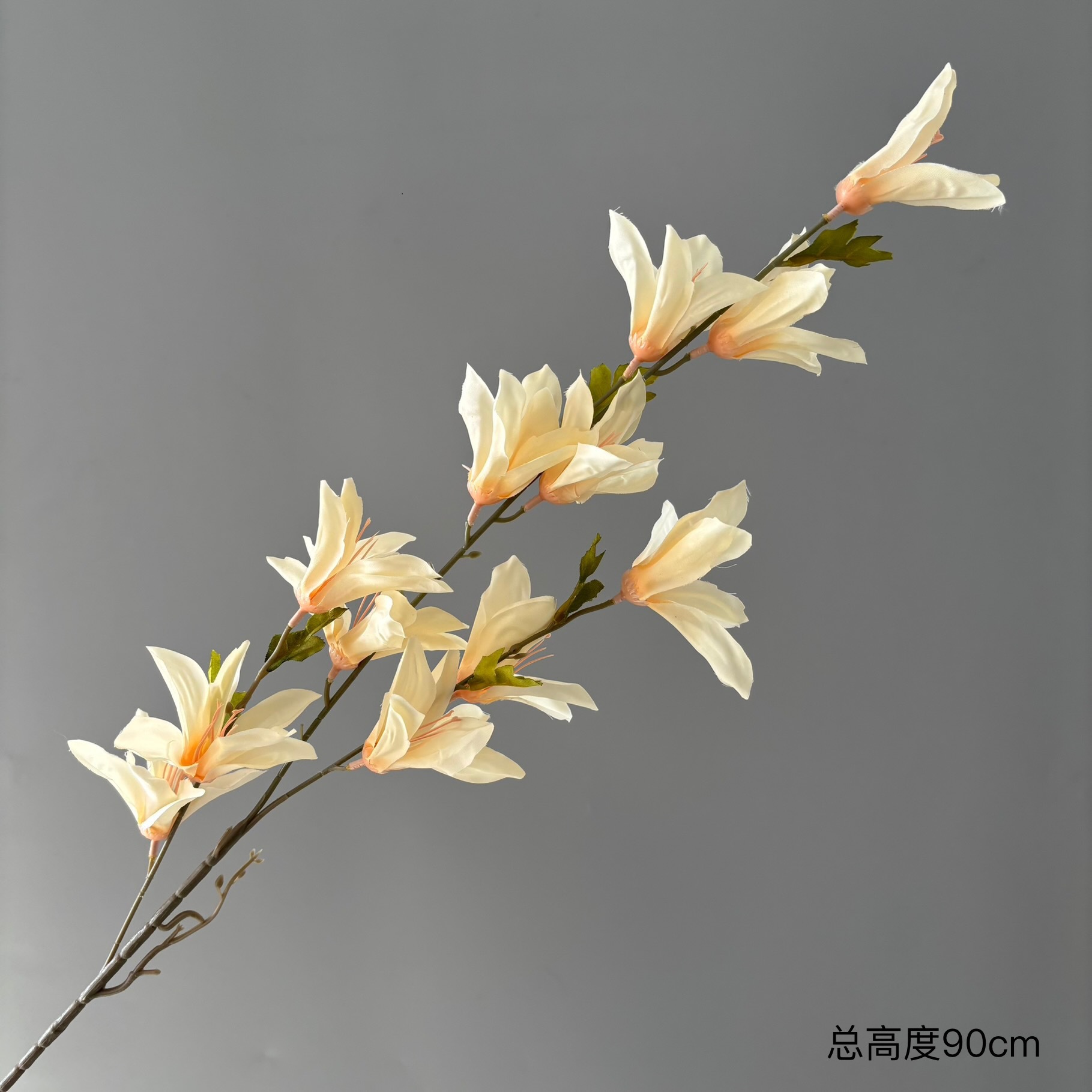 바람과 비 난초