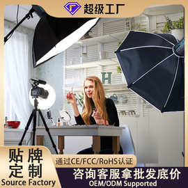 跨境300W摄影灯直播补光灯下巴补光灯桌面补光灯COB太阳灯