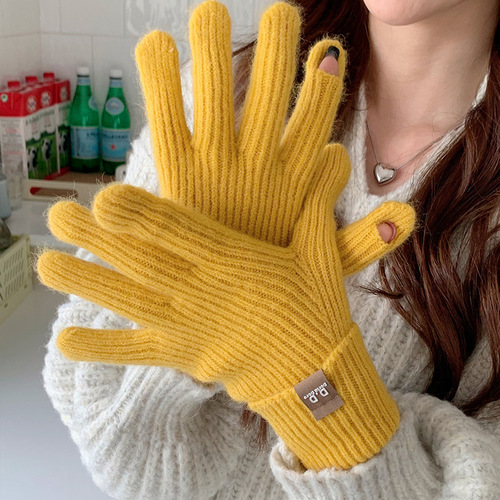  Winter Wool Touchscreen Warm Gloves for Women Korean Style Trendy Versatile Student Cycling Knitted Wool Yarn Gloves Wholesale