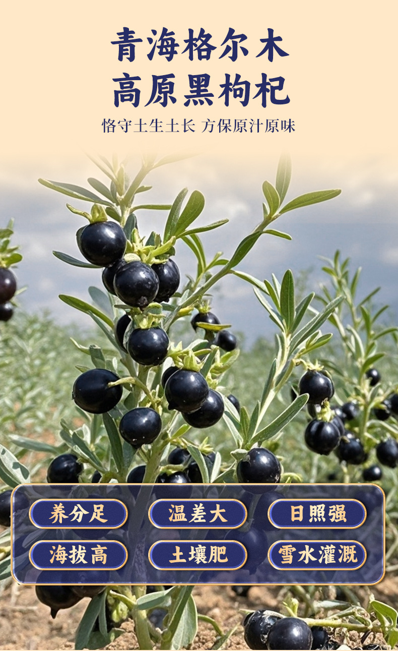 Black Goji Berry Gift Box Dried Wolfberry Fruit Ready to Eat Herbal Gift for Elders 360g key features