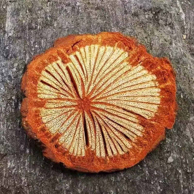 Wild Sargentodoxa Vine Xue Teng 大血藤 Dried Herb 300g Traditional Decoction Slices details
