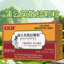 源头厂家食品蒲公英散结颗粒75克直销支持各电商平台批发一件代发