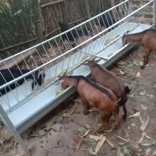 �p�������ι������ϲ۳Բ�ι��ʳ�ۼӌ����ϲۼӺ����ʳ��ȫ��