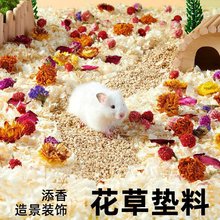 yee �����݉|�ς}��|������ľм�C�\���쾰�b�Ʒ��z����Ʒ