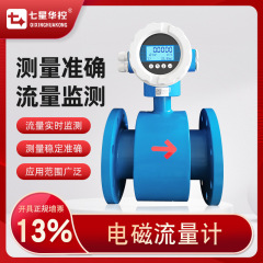電磁流量計汚水液体配管分離式一体デジタル表示ステンレス流量計DN50メーカー直販