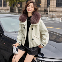 2025�궬����ë�I�r���޷�����Ů�OӋ�мӺ񺆼s���\���� WW2558