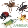 5 sets of ucok insects
