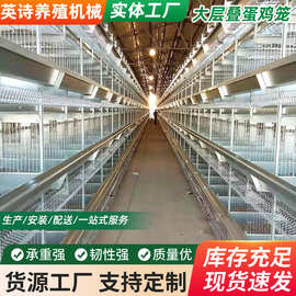 厂家层叠式全自动化捡蛋清粪/养鸡设备 小层叠蛋鸡笼养殖设备