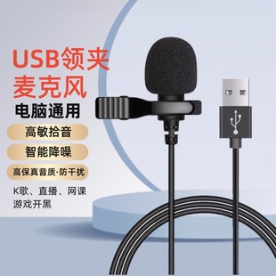 Lavalier Microphone USB Desktop/Laptop Microphone Noise Reduction Game Recording Conference Amplifier Radio