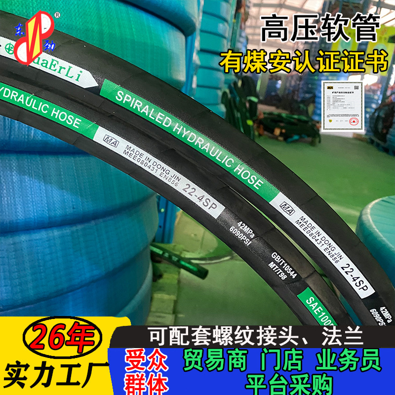 ڸ˿DN19̳øѹ͹EN853 SAE100R1/2ATѹ͹