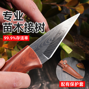 ��Ӳ�Ȉ@ˇ���߽ӌ��ü޽ӵ� �h�����üӺ�����ֹ��Ә�޽ӵ�