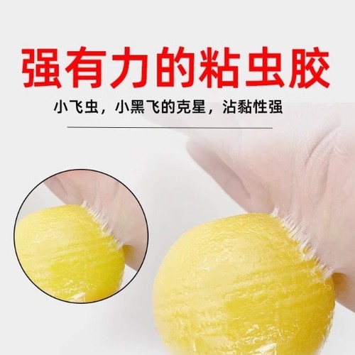 Fly Trap Glue Ball for Flies and Insects Home Use Kitchen Bathroom Fruit Fly Glue Ball Non-Toxic and Harmless Best Seller