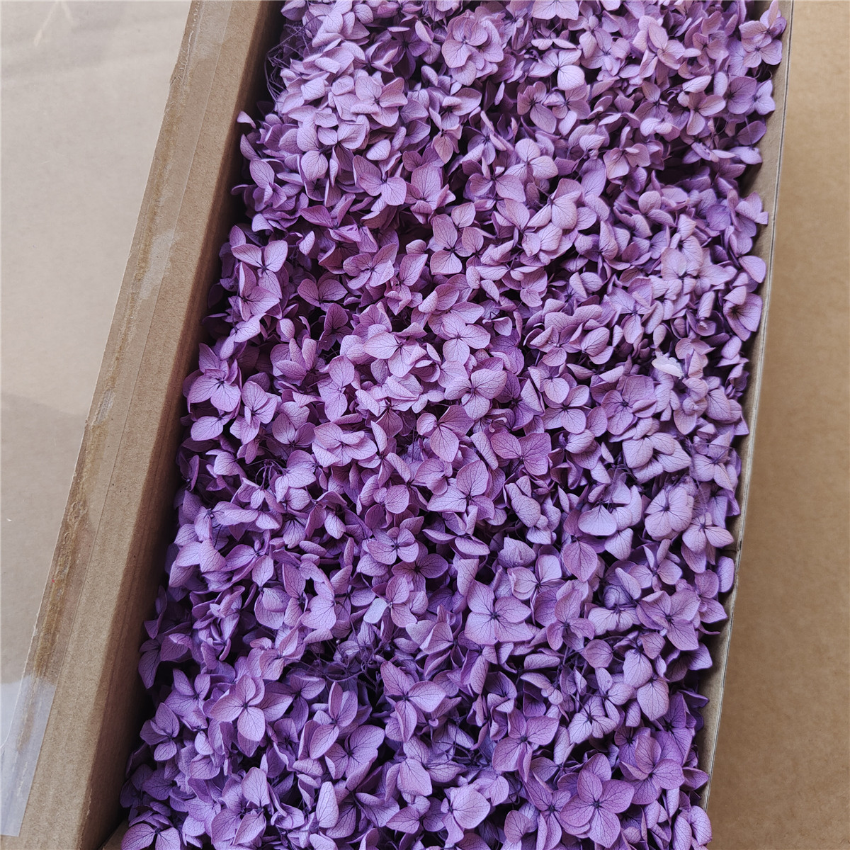 Flor eterna Hortensia Anna pequeña hoja flor seca flor real árbol de Navidad ventilador hecho a mano ramo DIY material paquete flor