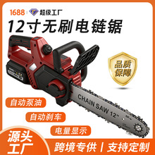 12����ˢ������������Գ��ʽ��ľ��綯���߻�����԰��