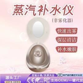 其他美容仪器;其他生活电器;美容导入仪