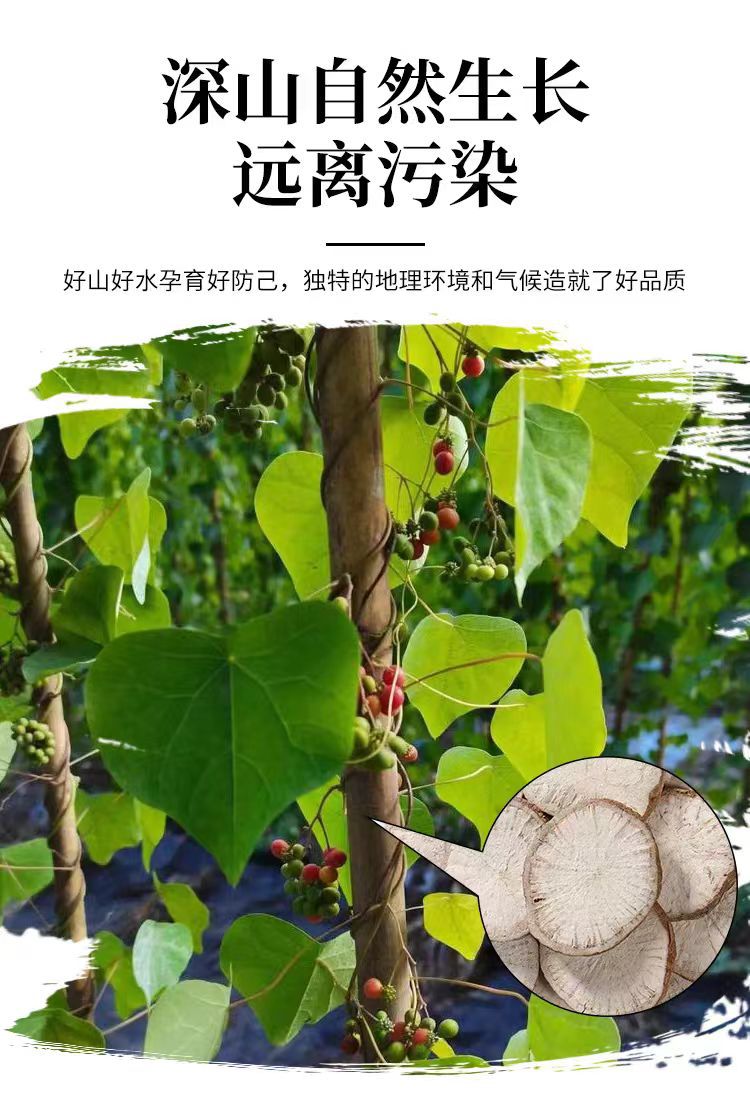 Fang Ji (Stephania tetrandra) — Dried Han Fang Ji Root Slices & Powder, 500g overview