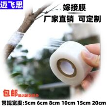 ޽ĤӹĤ peСp@Ĥ5늾bIrĤ Ĥ