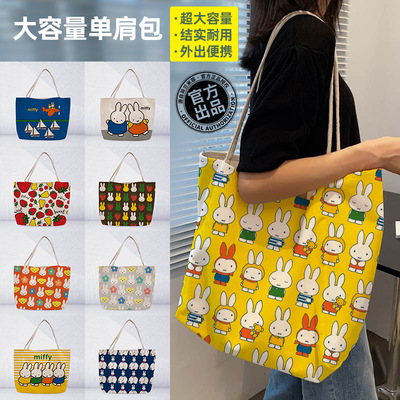 大容量单肩包外出便携袋|ms