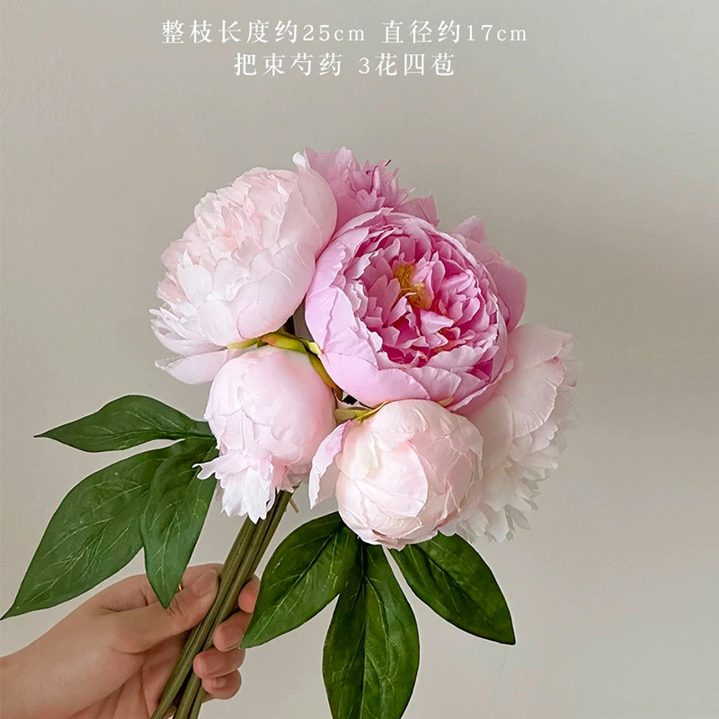 모란꽃(분홍색과 보라색)