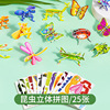Insect three-dimensional puzzle 25 a pack