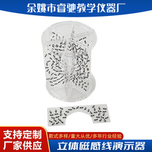 ���w�Ÿо���ʾ�� �����δ��F�l�δ��F�����ň���ʾ�������