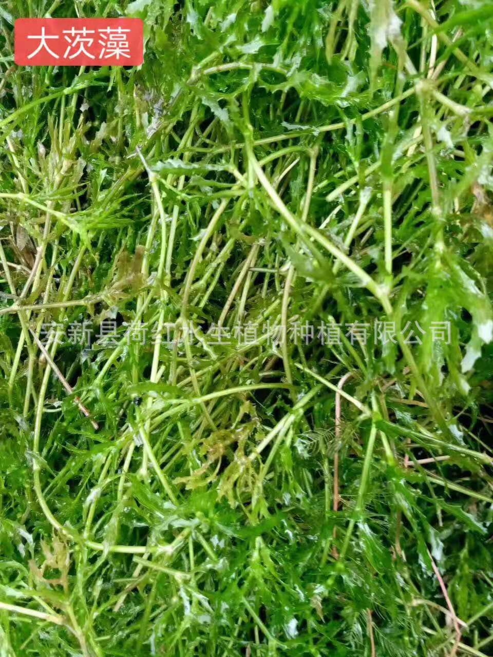 mmexport1568163340010