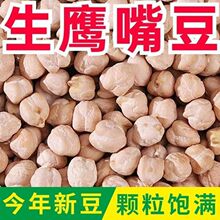 生鹰嘴豆新货新疆特产农家鸡心豆打豆浆五谷杂粮粉糯易煮颗粒饱满