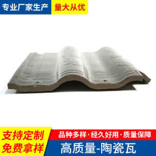 �S���մ���